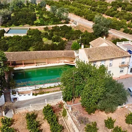 In - Your Refuge With Private Terrace Alzira