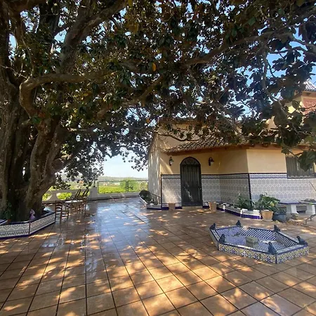 In - Your Refuge With Private Terrace Alzira