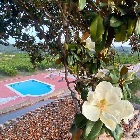In - Your Refuge With Private Terrace Guest house