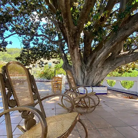 In - Your Refuge With Private Terrace Guest house Alzira