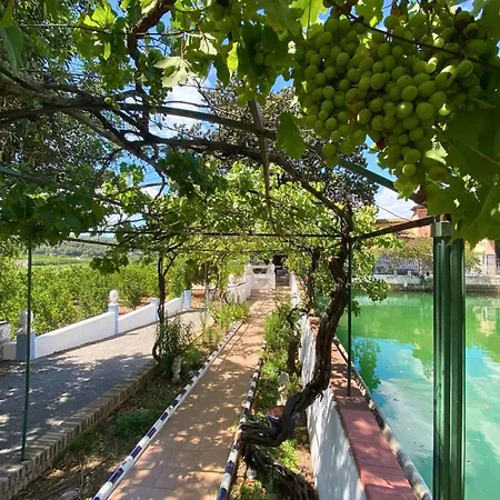 Algarrobo Room, Your Corner Of Calm And Magical Views * Alzira